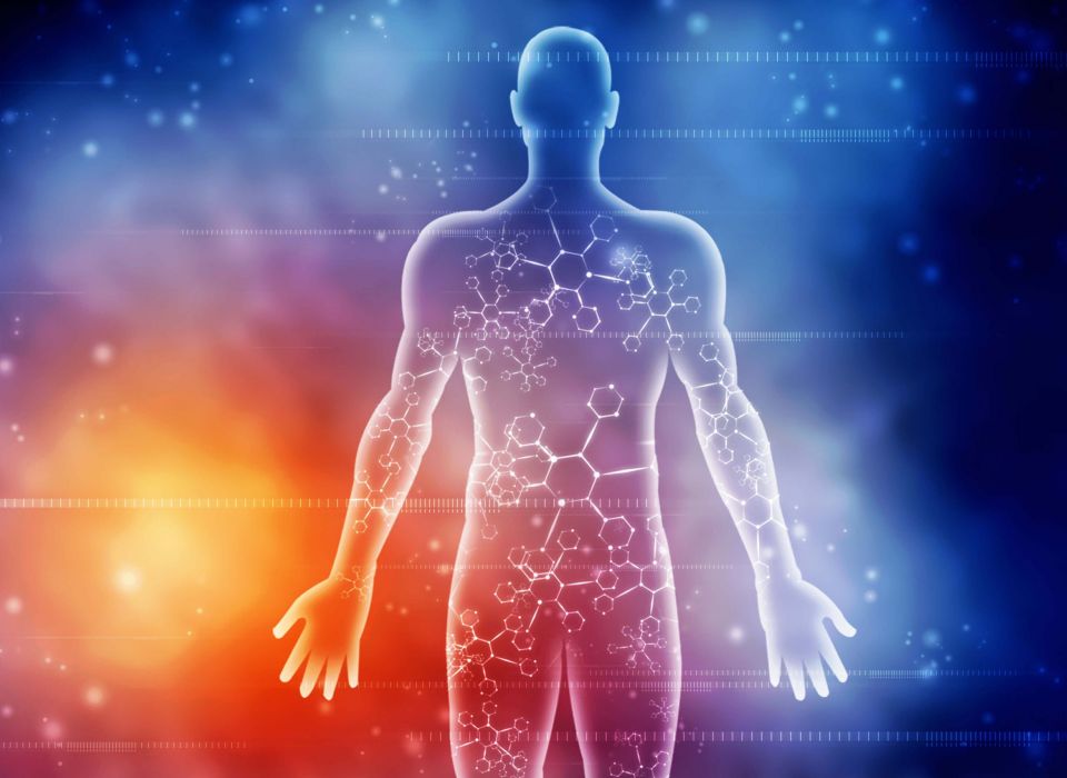 Lebensberatung Runa Runge - Elise Heilbehandlung