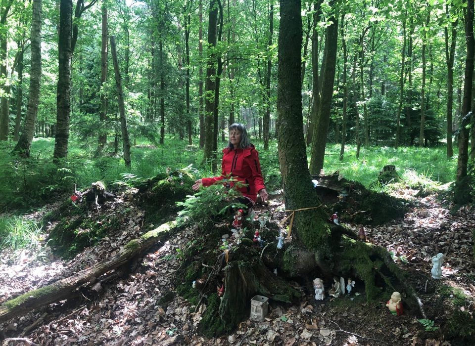 Lebensberatung Runa Runge - Meditation im Wald